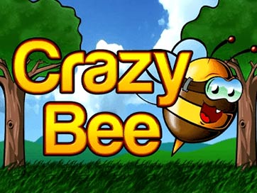 Bee Crazy Hd Slot: Play for Free & for Real Money